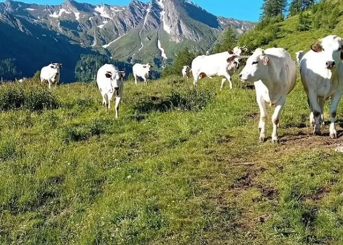 La Casetta Apartman